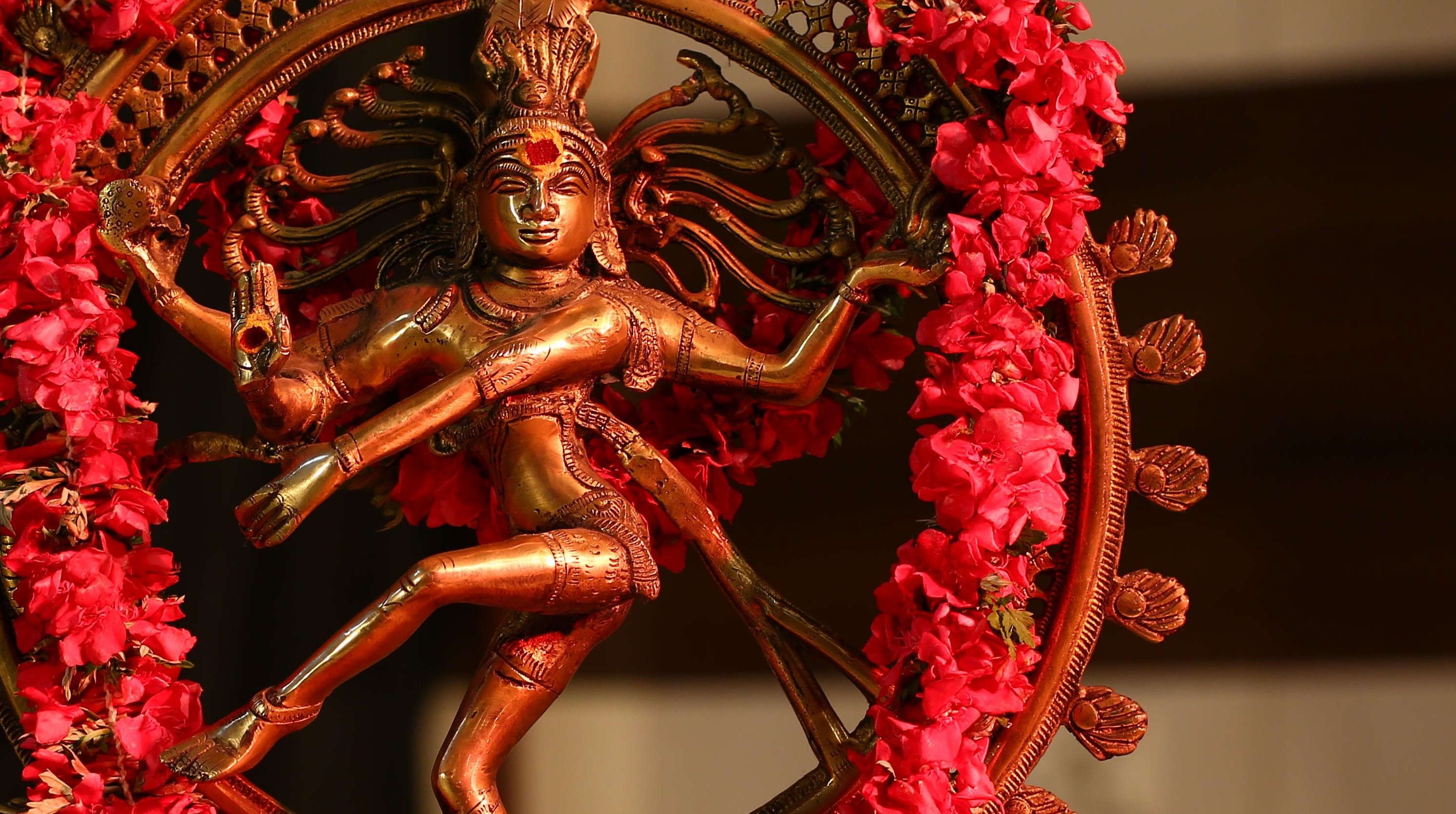 Guru Deepak Venkatesh performing Bharatanatyam